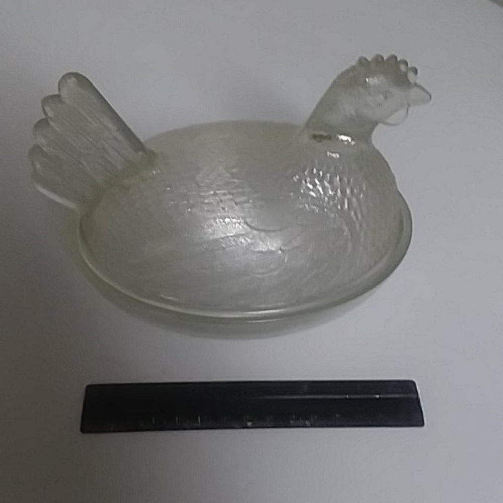 Chicken on a nest